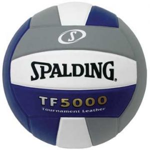   Spalding TF-5000 Volleyball