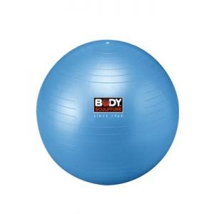  Gym  Ball 26 (65cm)